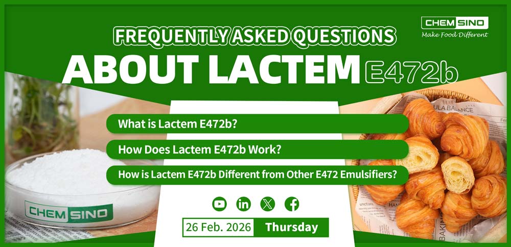 Preguntas frecuentes sobre Lactem E472b